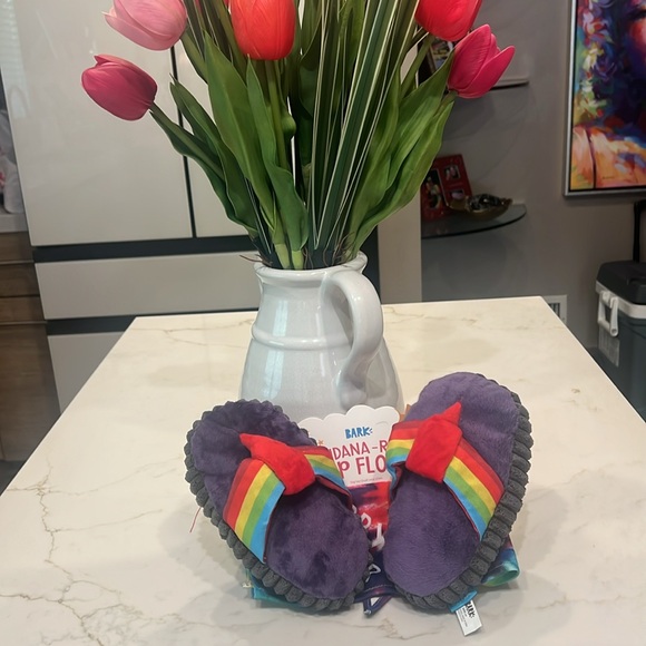 🆕 3/for $20 in a BUNDLE  Bark Box “ Bandana - Rama Flip flops” - Picture 17 of 17